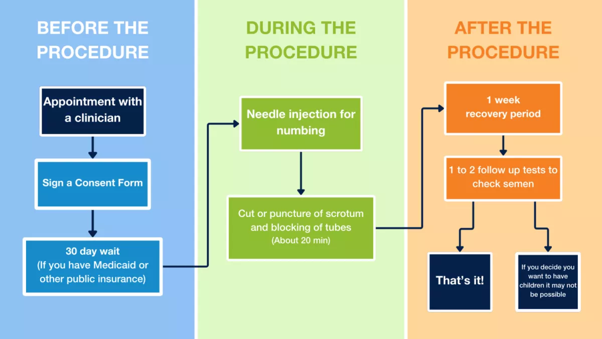 Vasectomy Flowchart:  Before the Procedure:  Appointment with a Doctor  Sign a Consent Form  30-Day Wait (If you have Medicaid or other public health insurance)  During the Procedure:  Anesthetic injection to numb the area  Incision or puncture of the scrotum and blockage of the ducts (Approximately 20 minutes)  After the Procedure:  1-Week Recovery Period  Follow-up appointments to verify that sperm are gone from the semen  1. That's it! or 2. If you decide you want to have children in the future, it may n