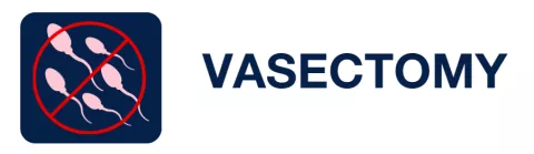 vasectomy